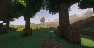forest 3.png