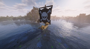 You are a pirate!