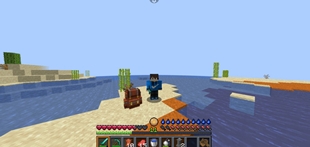 1000114243.jpg