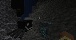 rectangle spider picture.png
