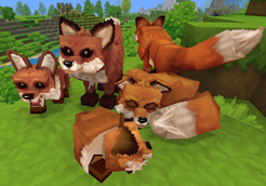 Celly’s Baby Animals