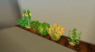 Crops