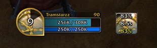 ingame .png