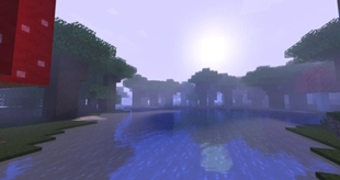 Forest Volumetric Lighting.jpg