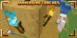 ImmersiveTorchesBanner2.png
