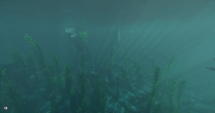 2026-05-10_14.53.00.png