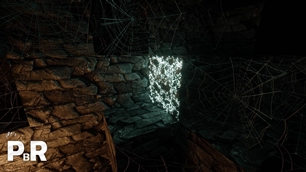 Cobweb in Cave