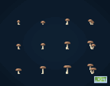 All Mushrooms & Fungus