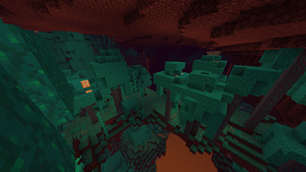 Warped Forest