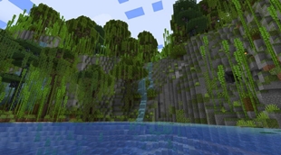 Bamboo Mountain Forest
