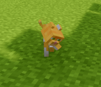 Screenshot 2026-05-11 174050.png
