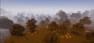 autumn biome