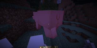 2026-05-11_20.21.01.png