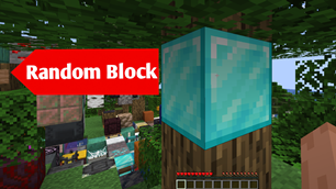 Minecraft, But Every Block You Look At Randomizes...