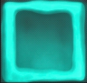 IMG_8429.jpeg
