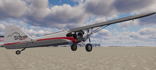 CubCrafters CC19 Xcub
