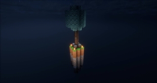 Cool Tree (:
