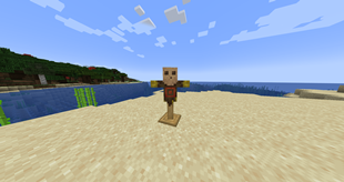 Practice Dummy