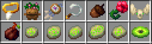 SAVAGE DRUID ITEMS