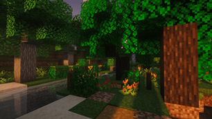Forest Trees