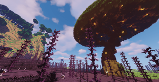 big tree