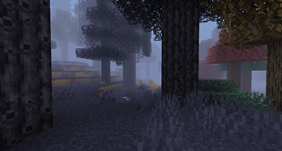 Dense Fog