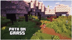 Path on Grass