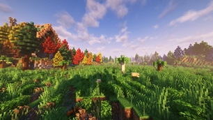 Marshland