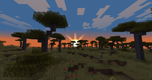 Sunsettier Sunset