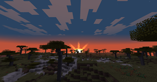 Sunsettiest Sunset