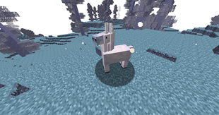 2026-05-14_23.48.50.png