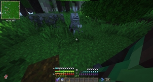 image.jpg
