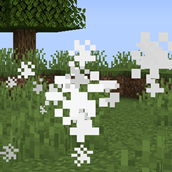 imagen_2026-05-15_144821215.png