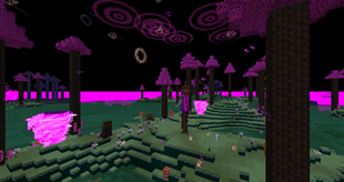 forest