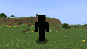 Shadow Person