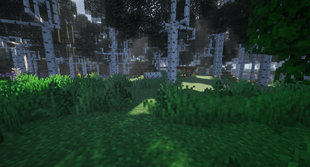 photo 4.png