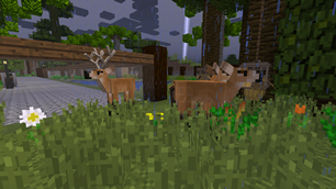 Marsh Deer
