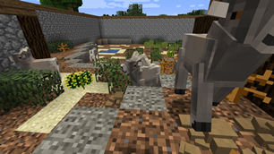 Bighorn Sheep