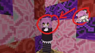 WhyDoesShelooklikecheshreicatfrombs.png
