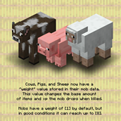 image2.webp