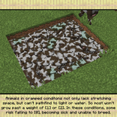 image5.webp