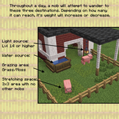 image3.webp