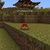 Crab Pet