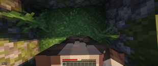 The OG texture pack is not present in the picture