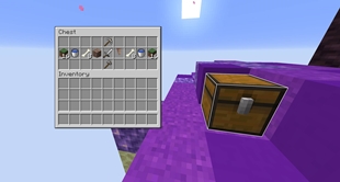 inside chest.jpg
