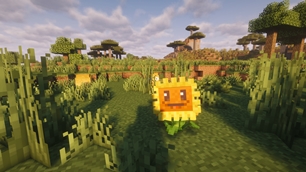 Plants vs. Zombies