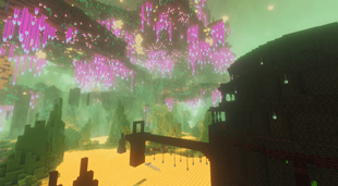 Nether