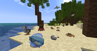 Beach Creatures