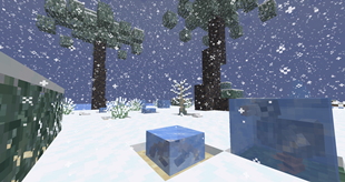Enhanced Frozen Beach Biome