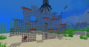 Fishing Net